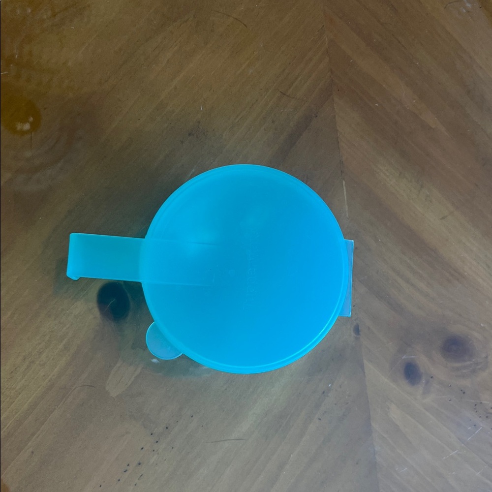 Tupperware Vintage Hanging Fridge Storage (Onion & Tomato Keeper)
